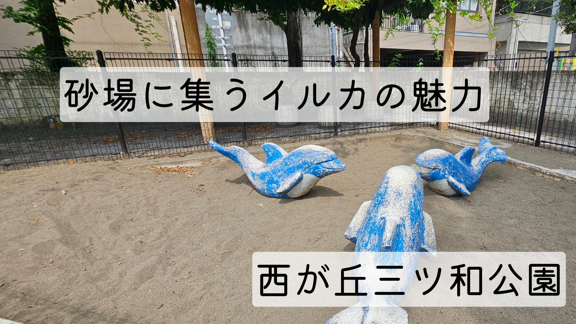 西が丘三ツ和公園のイルカ