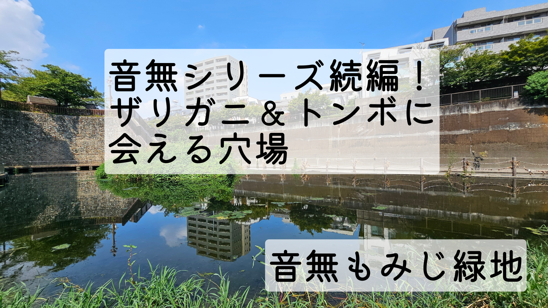 音無もみじ緑地
